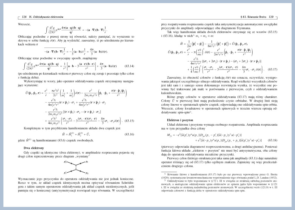 Skład i łamanie tekstu serii wydawniczej Fizyka teoretyczna
