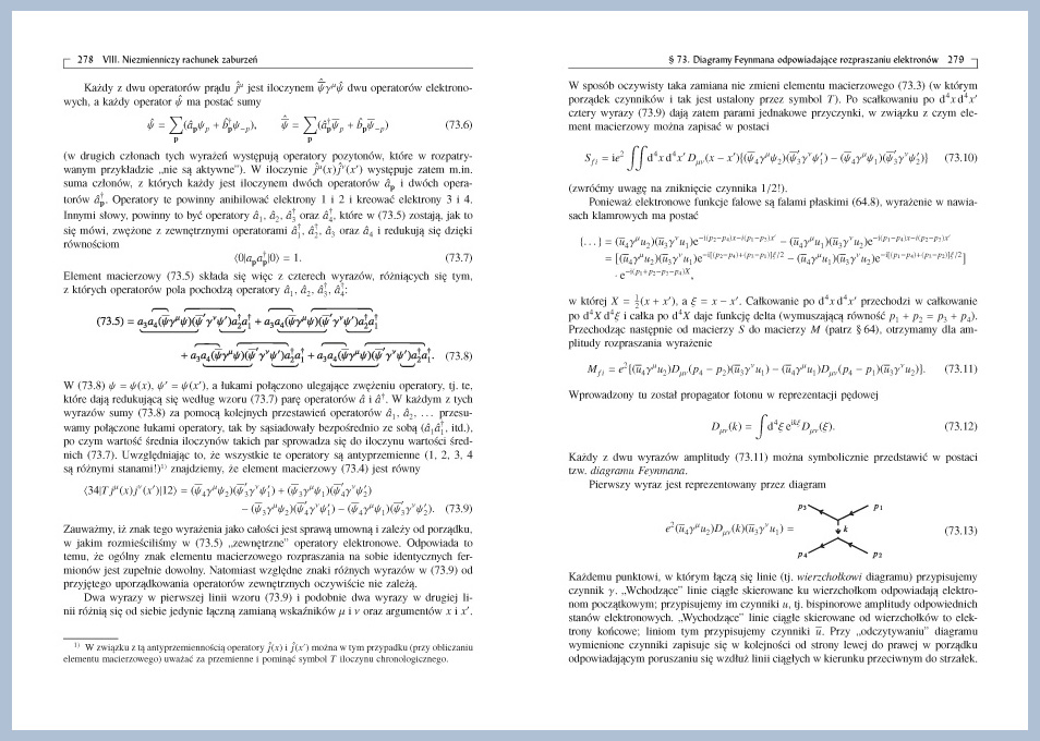 Skład i łamanie tekstu serii wydawniczej Fizyka teoretyczna, formuły matematyczne