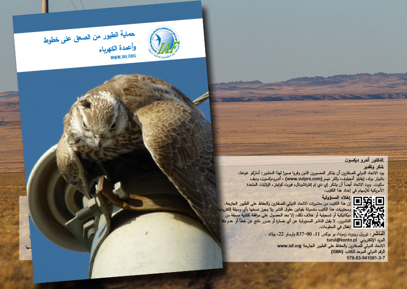Skład DTP broszury w języku arabskim